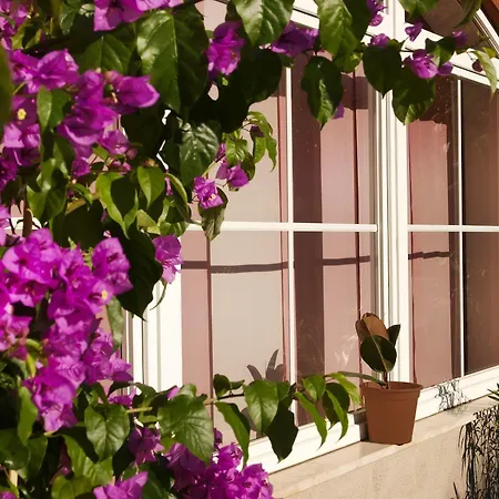 Rosa 3* Torbole Sul Garda