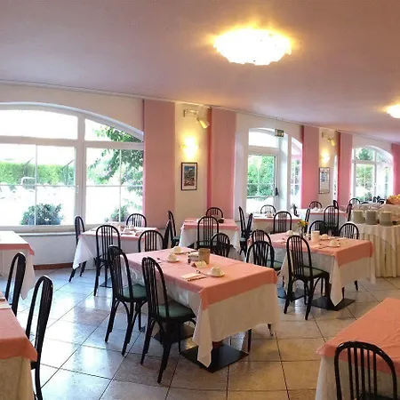 Rosa 3*